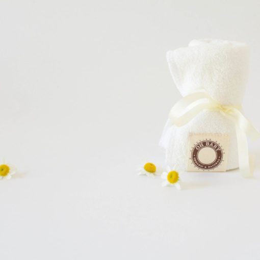 Petite Nesting Bundle #4   Onesie, french terry wash cloth and a Robins egg soap "Unprinted"