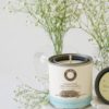 Baby's Breath Whispers™  Signature Candle